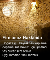 Firmamız Hakkında